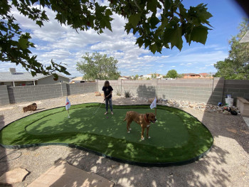 Nick Baker's home in New Mexico